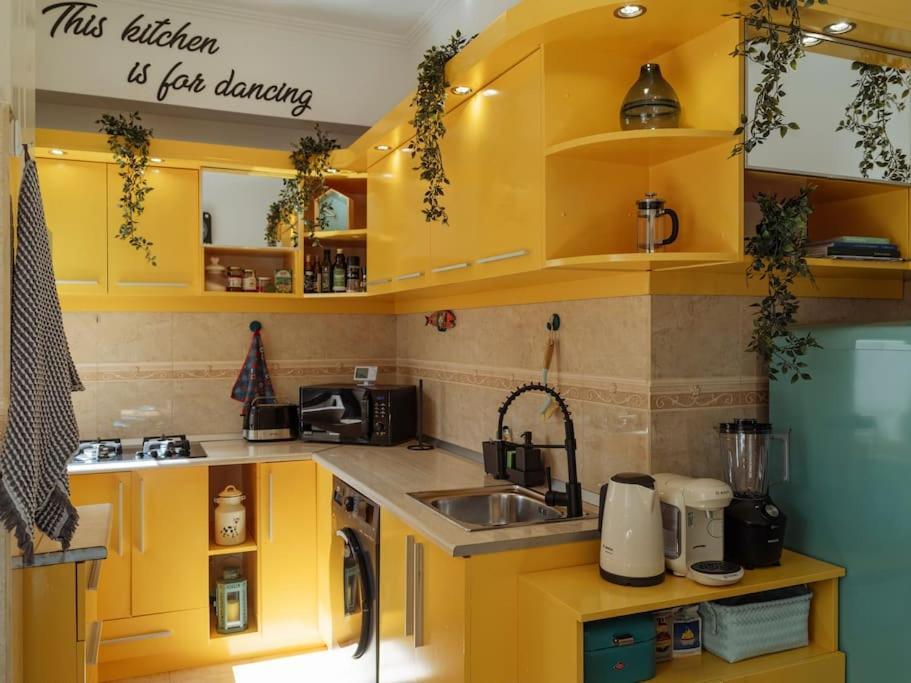 شقة Terrasse Des Plongeurs بوخارست المظهر الخارجي الصورة
